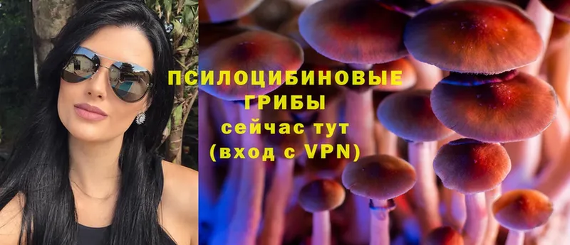 даркнет сайт  Зима  Галлюциногенные грибы Magic Shrooms 